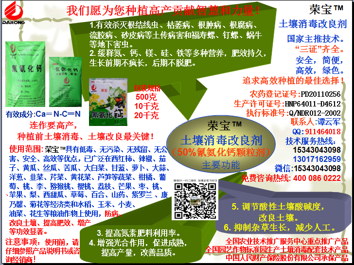 榮寶（氰氨化鈣）顆粒殺菌劑，土壤消毒、緩釋氮鈣營(yíng)養(yǎng)、肥料增效、土壤改良四效合一，殺滅根結(jié)線(xiàn)蟲(chóng)，防治根腫病、根腐病、枯萎病、流膠病、蓮藕腐敗病等土傳病害，殺滅福壽螺、釘螺等地下害蟲(chóng)，解決連作障礙